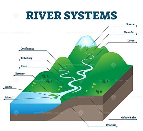 river systems and drainage basin educational structure vector illustration drainage geography
