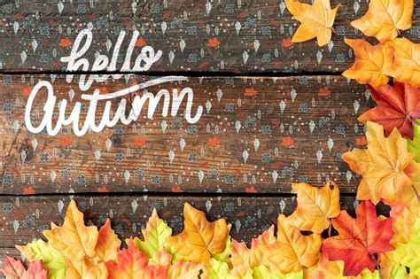 Premium Psd Colourful Hello Autumn Text With Leaves Frame
