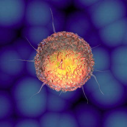 Cancer isn't a single disease, but rather a collection of over 200 different ones. Oncogenes and Cancer Cells - Biology Encyclopedia - body ...