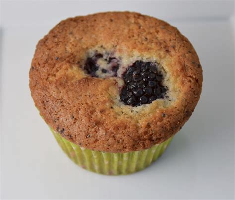 Blackberry Poppy Seed Muffins New Music From Nat Jenkins And The