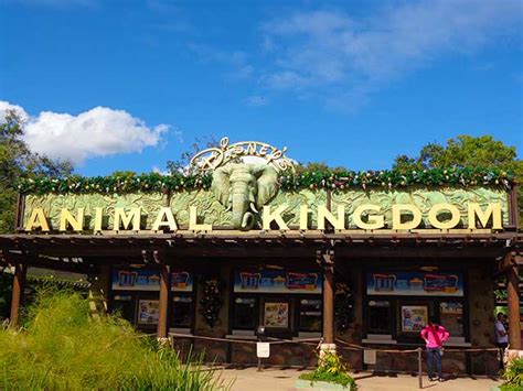Orlando Insider Vacations Guide To Disneys Animal Kingdom Park