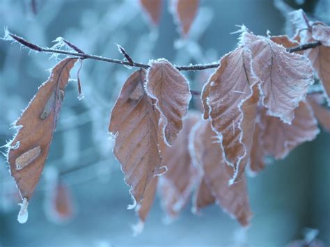 Grab a pillow or two and find a cozy spot to settle in. YinYoga en Do-In XXL workshop - Yoga met je Hart