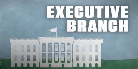 What does the cabinet do in the executive branch. What The Executive Branch - University of Political Science
