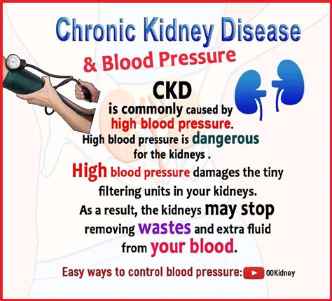 Can Kidney Infection Cause High Blood Pressure