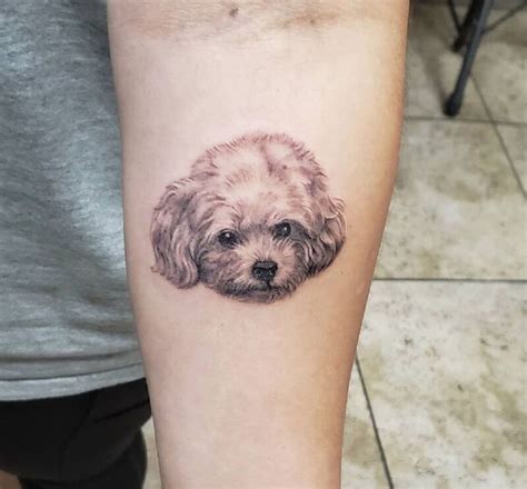 The 22 Fascinating Bichon Frise Tattoo Designs Small Dog Tattoos Dog