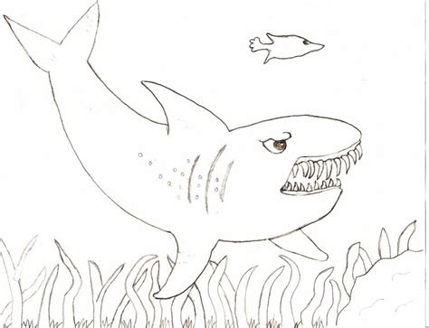 Hammerhead shark coloring page hammerhead shark coloring page. Great White Shark Coloring Page - Coloring Home