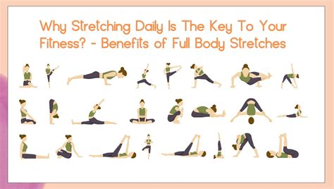 Total Body Stretch Routine