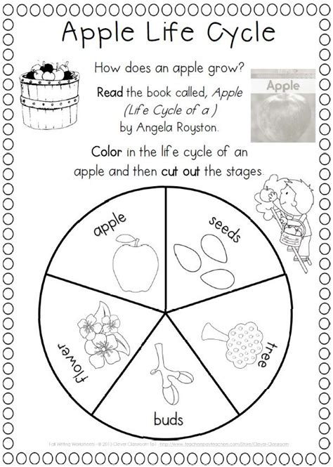 Science Work For 1st Grade Worksheets