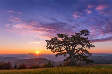 Paisaje Hermoso De La Montaña Con El árbol Solitario En El ...