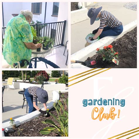 We Are Reaping The Benefits Of Therapeutic Gardening In 2021 Senior
