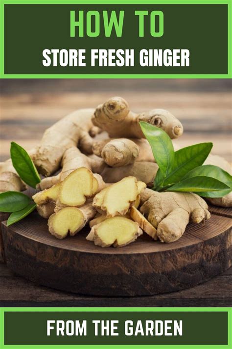 Storing Fresh Ginger Artofit