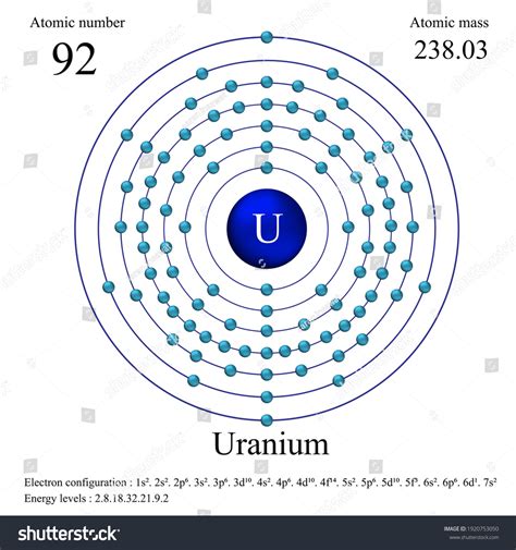Uranium Atomic Structure Has Atomic Number Stock Vector Royalty Free