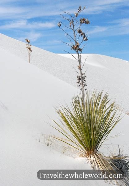 Traveling In White Sands New Mexico