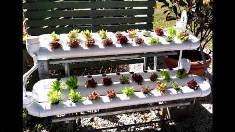 Even if you're a beginner you can build these homemade hydroponic systems with easy supplies and little to no skills. 15+ Fresh Garden Design Ideas in 2019 | Vegetable garden diy, Indoor vegetable gardening, Home ...