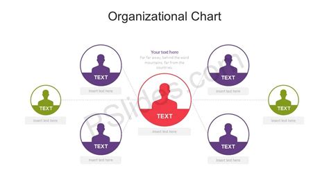 Organization Chart Powerpoint Organizational Structure Template Ppt