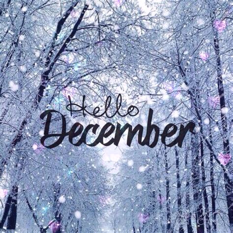 Hello December December Quotes Hello December Winter Quotes