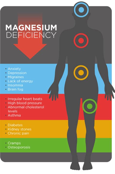 Signs Of Magnesium Deficiency In The Body Biosphere Nutrition