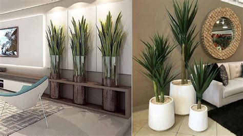 2024 Ideas For Decorating With Modern Indoor Plants Home Decor