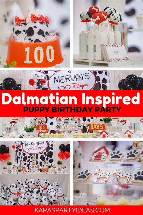 101 Dalmatians Party Decorations