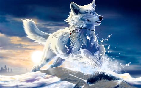 47 Cool Anime Wolf Wallpapers