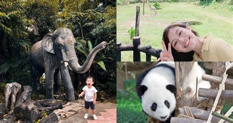 Zoo Negara Visit Guide Must See Exhibits Discounted Tickets And