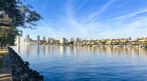 Discover The Lifestyle Of South Tampa Florida