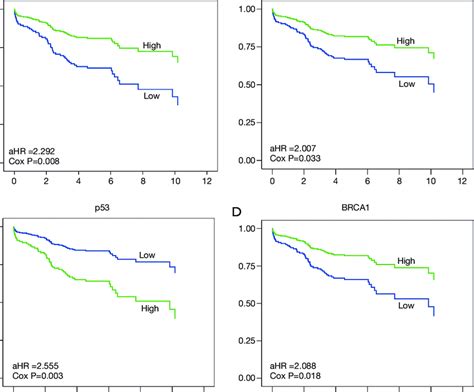 Survival Of Patients With Stage I Scc According To The Expression Of