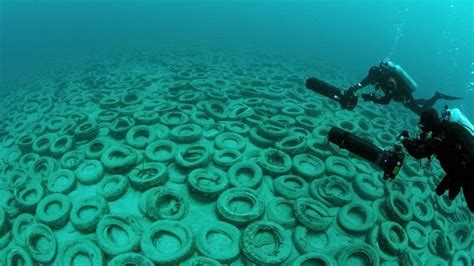 Osborne Reef A Failed Artificial Reef Of Discarded Tires Amusing Planet