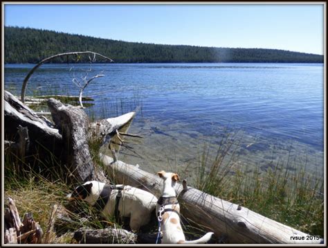 Guest Blogger Digit Point Campground On Oregons Miller Lake Rvsue