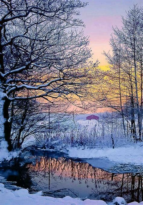 Pin By Biljana Milovanovic On Christmas For Moms Winter Landscape
