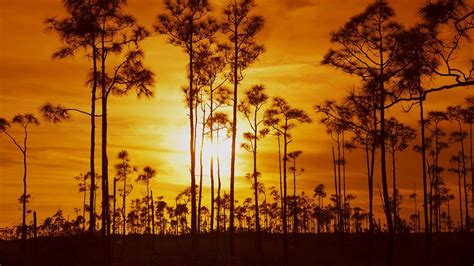 Everglades National Park Florida © Angelo Cavalliaurora Photos