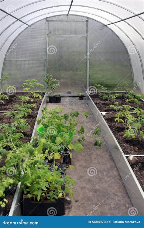 Greenhouses Plantations Stock Photo Image Of Agricultural 54889700