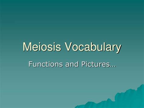 Ppt Meiosis Vocabulary Powerpoint Presentation Free Download Id