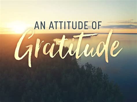 An Attitude Of Gratitude Mustard Seed Missions