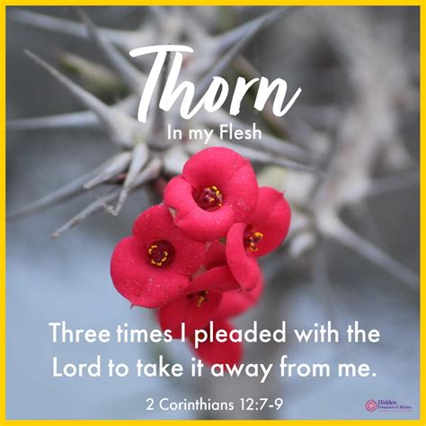 Thorn In The Flesh Bible Verse Scripture And How To Deal With It