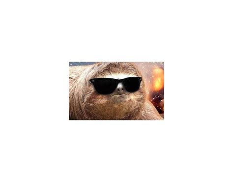 Swag Sloth Quiz