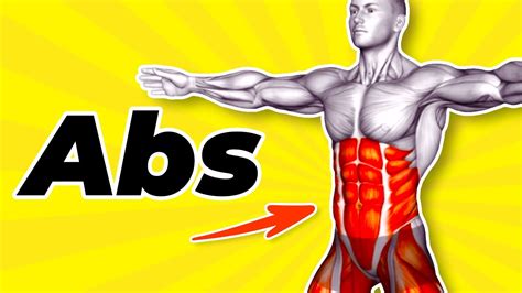5 Minute Standing Abs Workout For Male Beginners Youtube