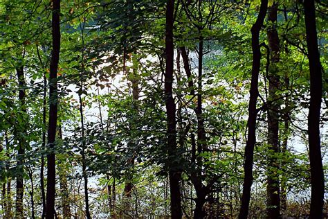 Holston River 1409 Photograph By David Vanderwyst Fine Art America