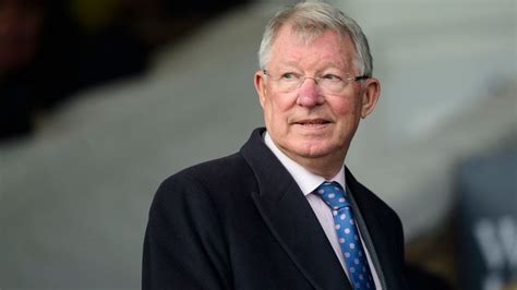 Quem será o novo treinador do manchester united? Sportbuzz · Alex Ferguson, ex-treinador do Manchester United, detona projeto de "nova" Champions ...