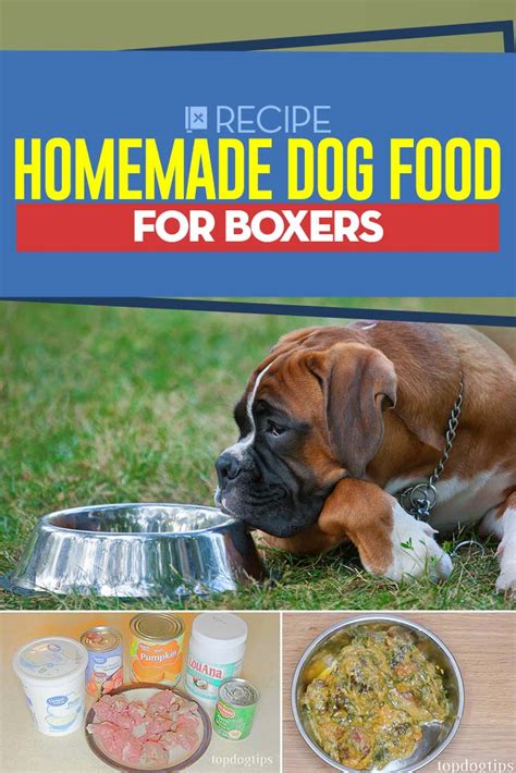 Jul 15, 2019 · dog food myth no. Homemade Dog Food for Boxers Recipe - Healthy and Easy to Make