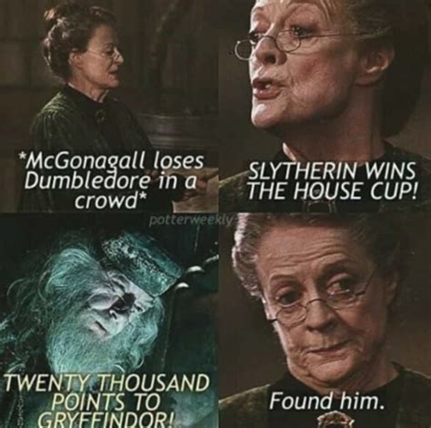 Just 24 Memes Dunking On Dumbledore For Being The Most Cryptic And