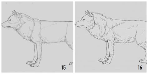Vediamo alcuni disegni di animali da stampare e colorare gratis della savana, per scaricarli basta. Immagini da ricopiare, disegno di un lupo, disegnare con la matita | Disegni a matita facili ...