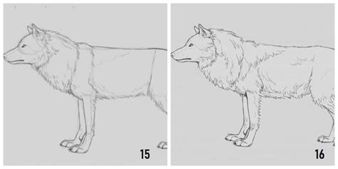 Immagini da stampare e colorare del cartone bing. Immagini da ricopiare, disegno di un lupo, disegnare con la matita | Disegni a matita facili ...