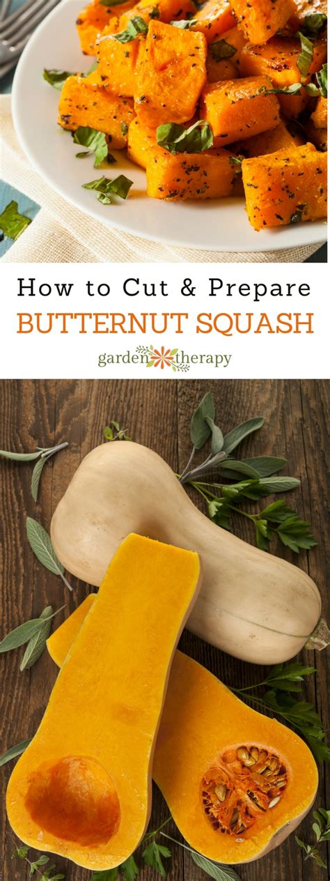 How To Prepare Butternut Squash For Recipes Garden Therapy