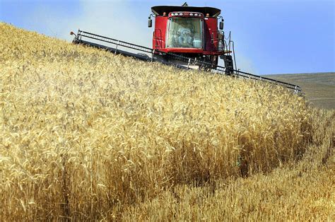 Wheat growers scheduled to meet with Gov. Inslee on key issues | The ...