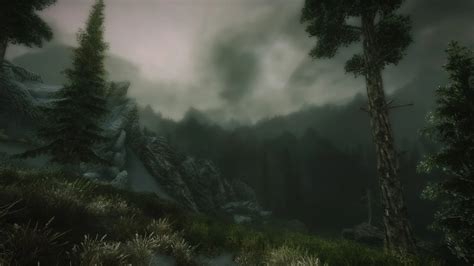 Forest At Skyrim Nexus Mods And Community
