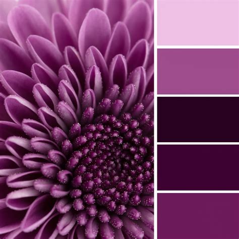 What Are Monochromatic Color Schemes Decorating And Designing With One