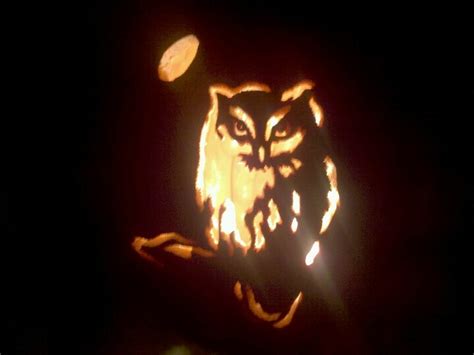 Owl Jack O Lantern Pumpkin Decorating Pumpkin Carving Jack O Lantern