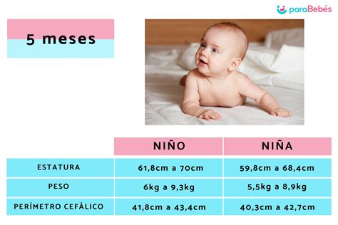 Cuanto Debe Medir Un Bebe De 3 Meses Desarrollo Del Bebé Tabla De