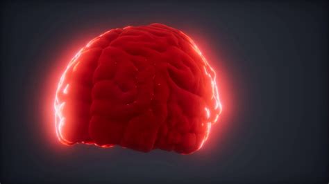 Loop Rotating Human Brain Animation Stock Video Footage 0010 Sbv